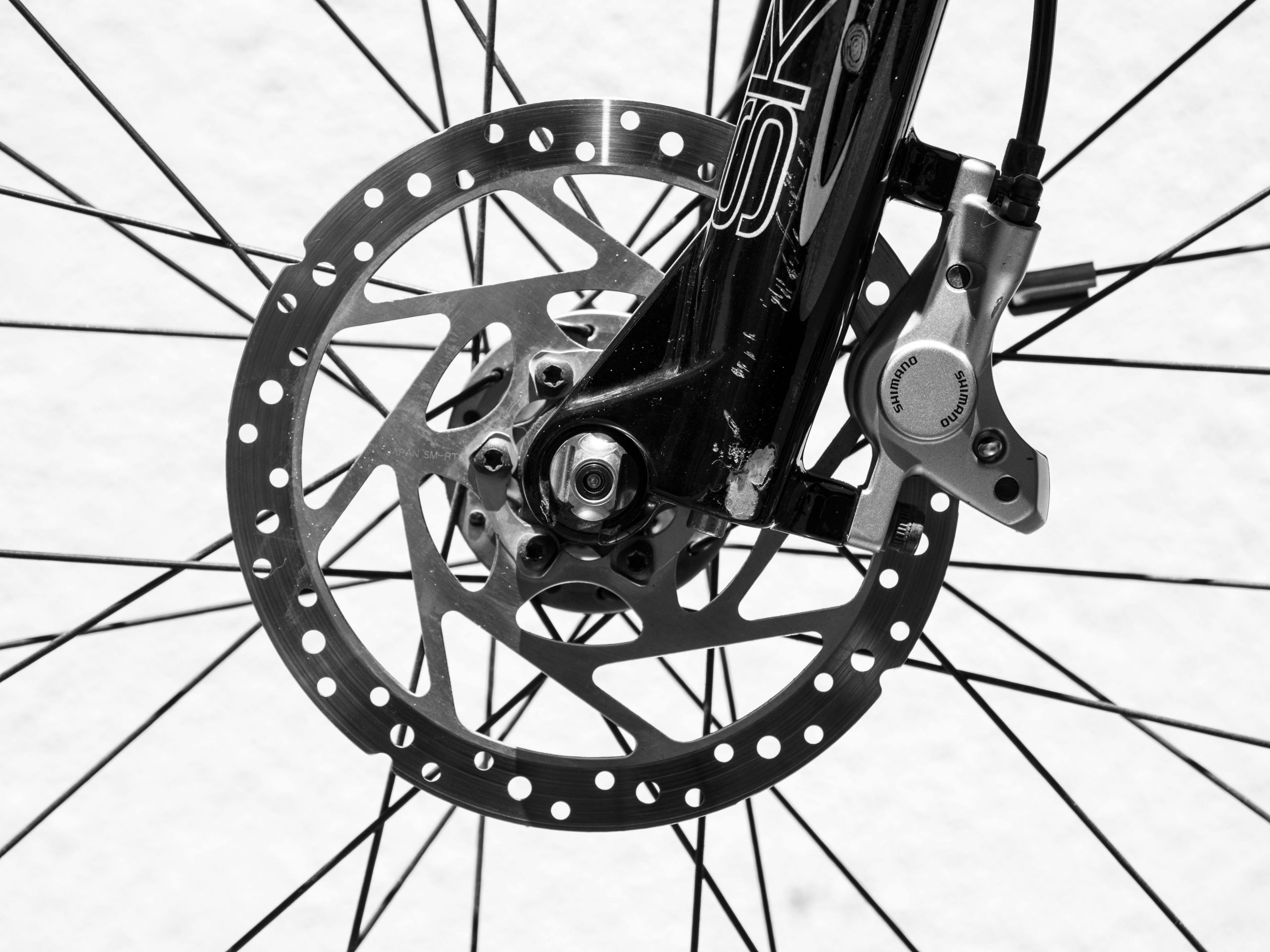 Bicycle wheel detail black and white